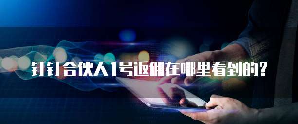 钉钉合伙人1号返佣在哪里看到的?