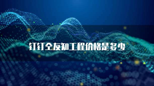 钉钉仝友知工程价格是多少
