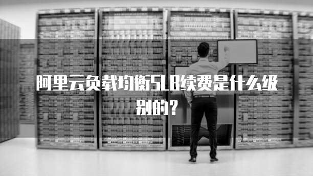 阿里云负载均衡SLB续费是什么级别的?