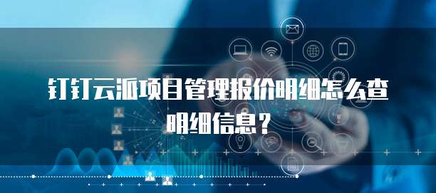 钉钉云派项目管理报价明细怎么查明细信息?
