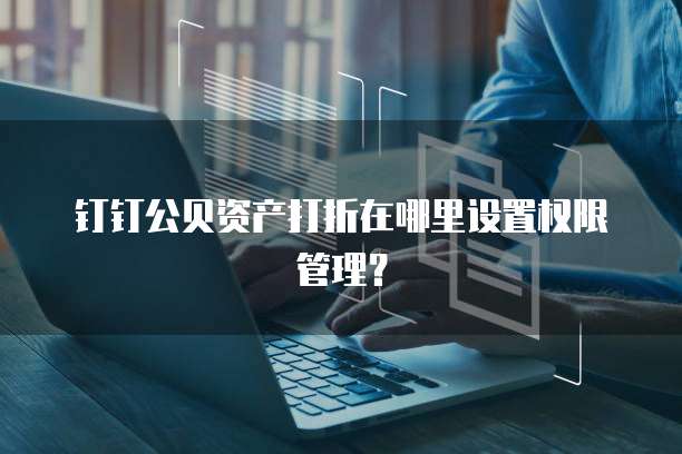 钉钉公贝资产打折在哪里设置权限管理?