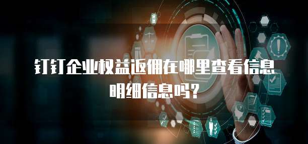 钉钉企业权益返佣在哪里查看信息明细信息吗?
