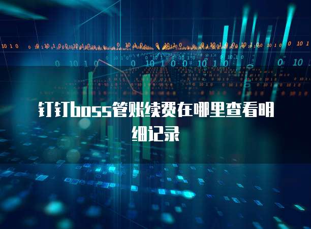 钉钉boss管账续费在哪里查看明细记录