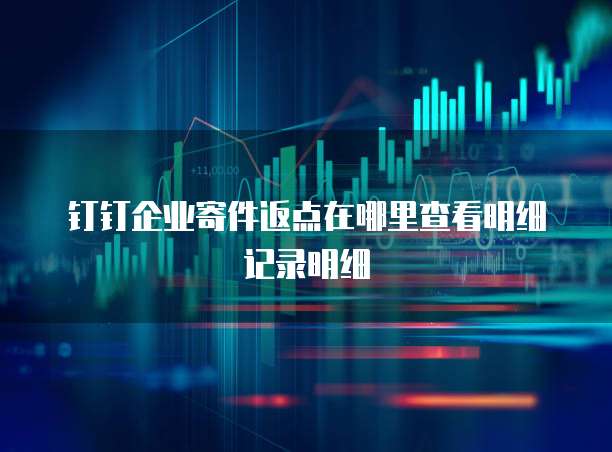 钉钉企业寄件返点在哪里查看明细记录明细