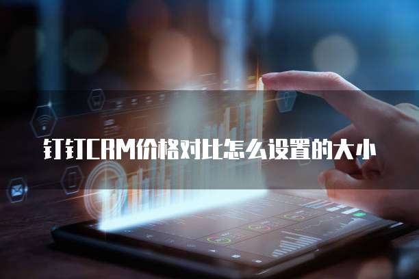 钉钉CRM价格对比怎么设置的大小