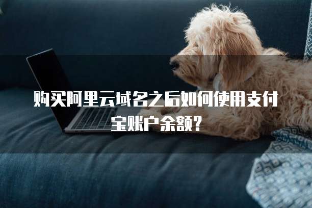 购买阿里云域名之后如何使用支付宝账户余额?