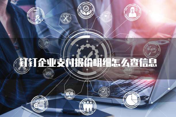 钉钉企业支付报价明细怎么查信息