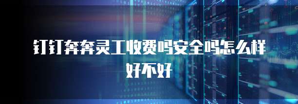 钉钉奔奔灵工收费吗安全吗怎么样好不好