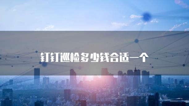 钉钉巡检多少钱合适一个