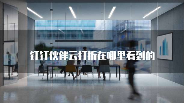 钉钉伙伴云打折在哪里看到的