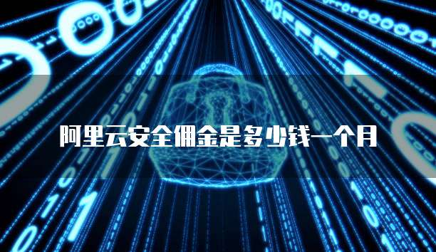 阿里云安全佣金是多少钱一个月