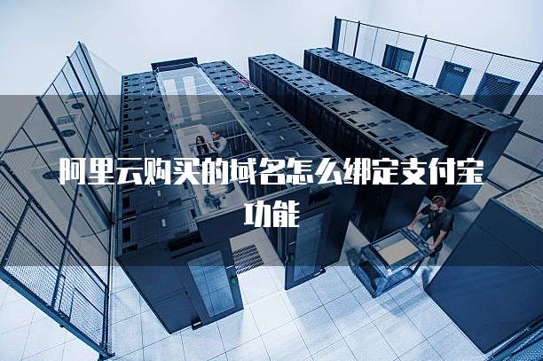 阿里云购买的域名怎么绑定支付宝功能