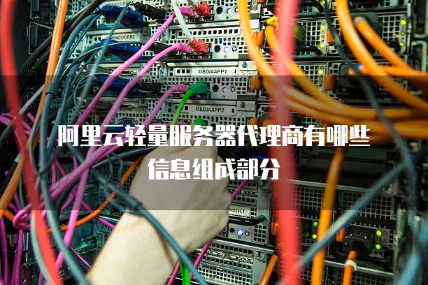阿里云轻量服务器代理商有哪些信息组成部分