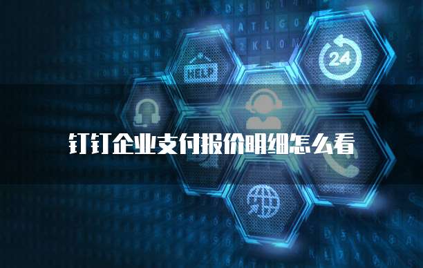 钉钉企业支付报价明细怎么看