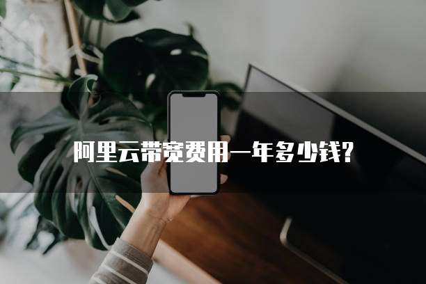阿里云带宽费用一年多少钱？