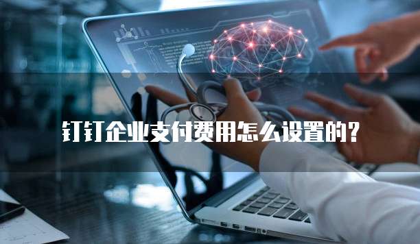钉钉企业支付费用怎么设置的？