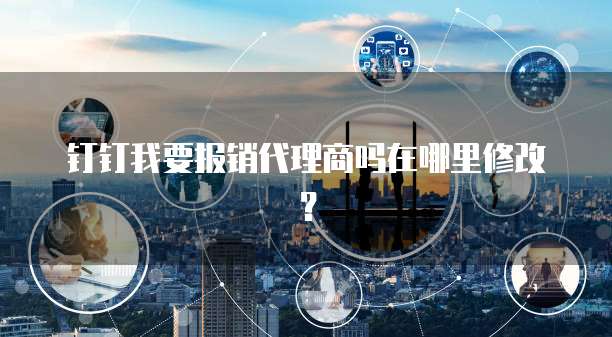 钉钉我要报销代理商吗在哪里修改？