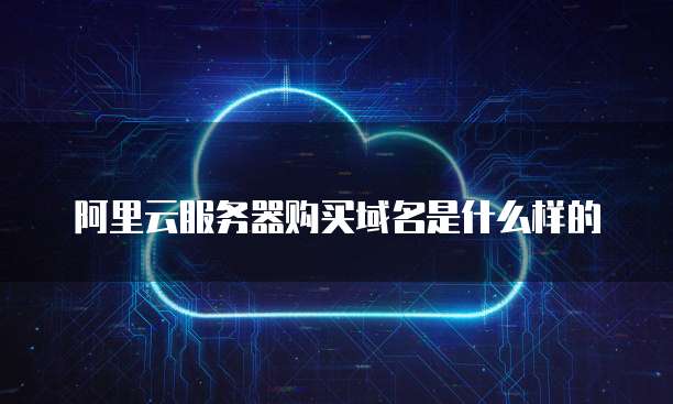 阿里云服务器购买域名是什么样的