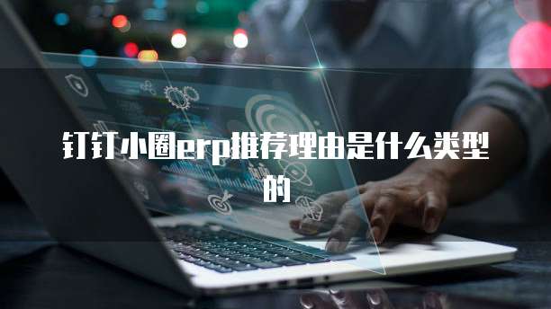 钉钉小圈erp推荐理由是什么类型的