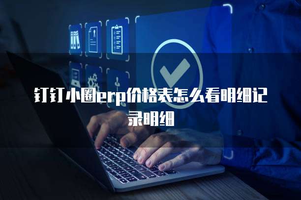 钉钉小圈erp价格表怎么看明细记录明细