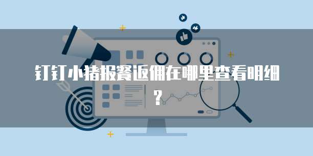 钉钉小猪报餐返佣在哪里查看明细?