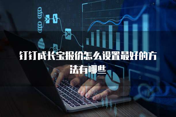 钉钉成长宝报价怎么设置最好的方法有哪些