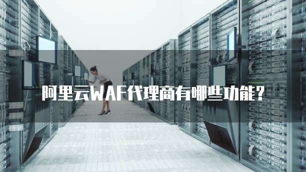 阿里云WAF代理商有哪些功能?