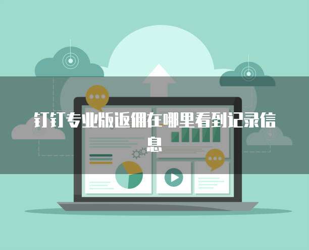 钉钉专业版返佣在哪里看到记录信息