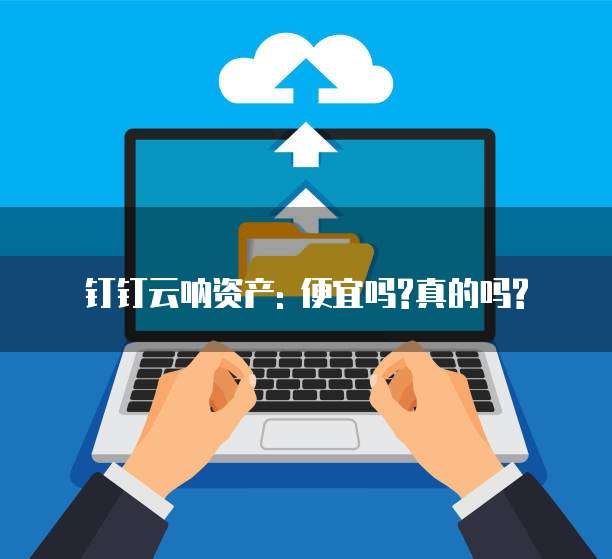 钉钉云呐资产: 便宜吗?真的吗?