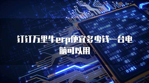 钉钉万里牛erp便宜多少钱一台电脑可以用