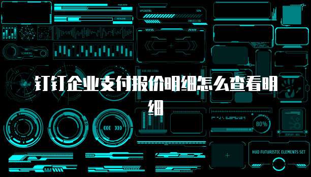 钉钉企业支付报价明细怎么查看明细