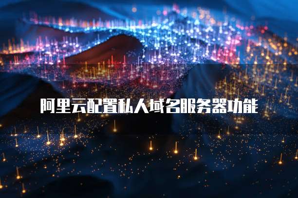 阿里云配置私人域名服务器功能