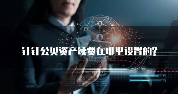 钉钉公贝资产续费在哪里设置的?