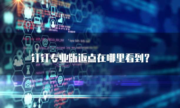 钉钉专业版返点在哪里看到?