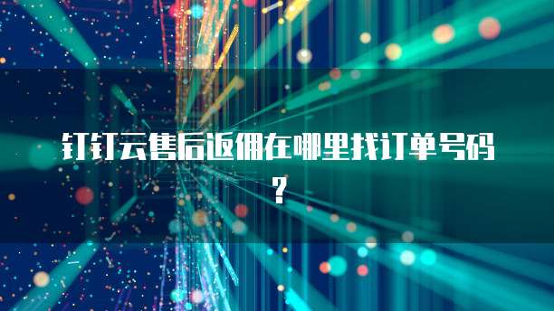 钉钉云售后返佣在哪里找订单号码?