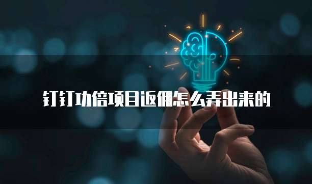 钉钉功倍项目返佣怎么弄出来的