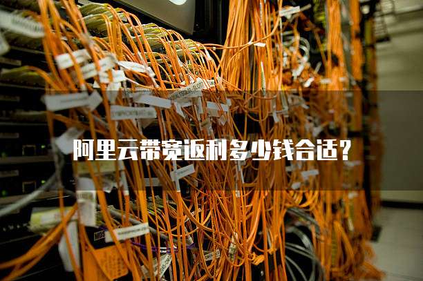 阿里云带宽返利多少钱合适?