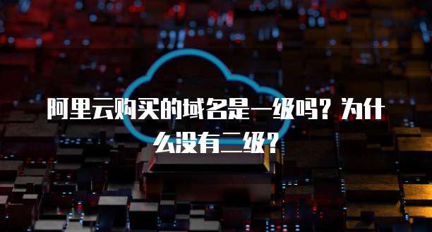 阿里云购买的域名是一级吗?为什么没有二级?