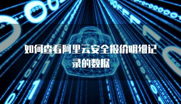  如何查看阿里云安全报价明细记录的数据