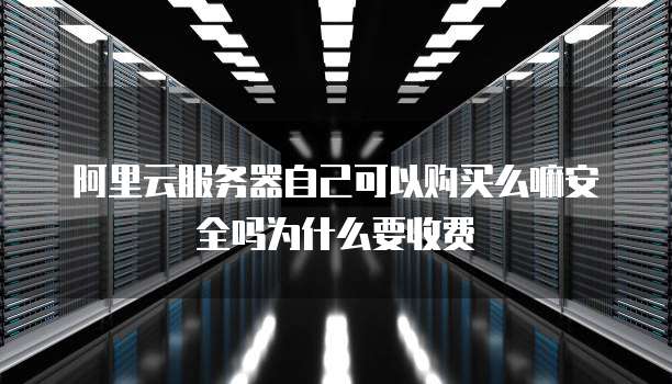 阿里云服务器自己可以购买么嘛安全吗为什么要收费