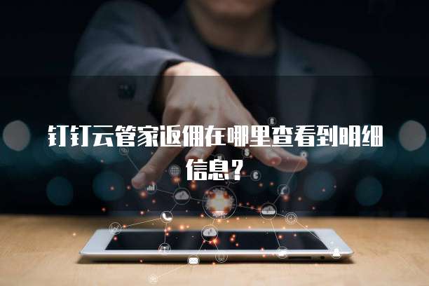 钉钉云管家返佣在哪里查看到明细信息?