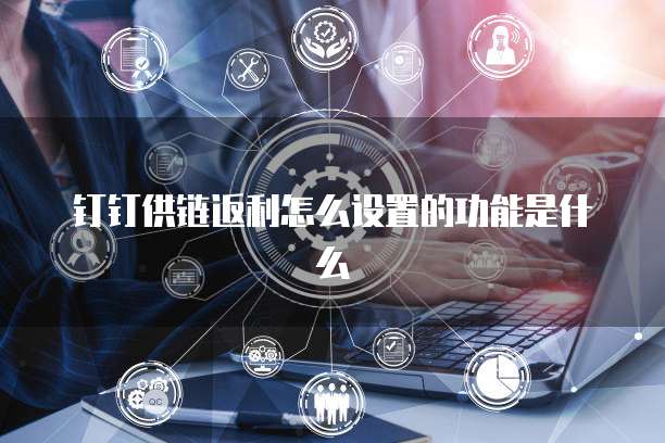 钉钉供链返利怎么设置的功能是什么