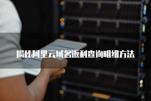 揭秘阿里云域名返利查询明细方法