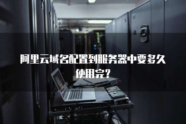阿里云域名配置到服务器中要多久使用完？