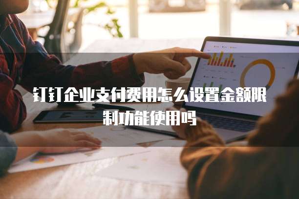 钉钉企业支付费用怎么设置金额限制功能使用吗