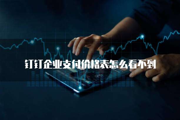 钉钉企业支付价格表怎么看不到