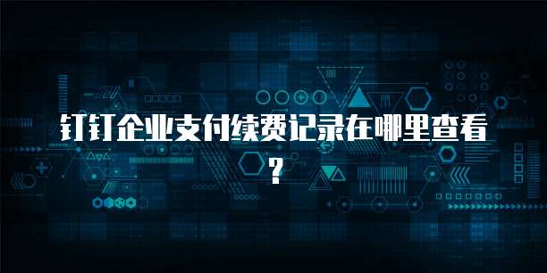 钉钉企业支付续费记录在哪里查看?