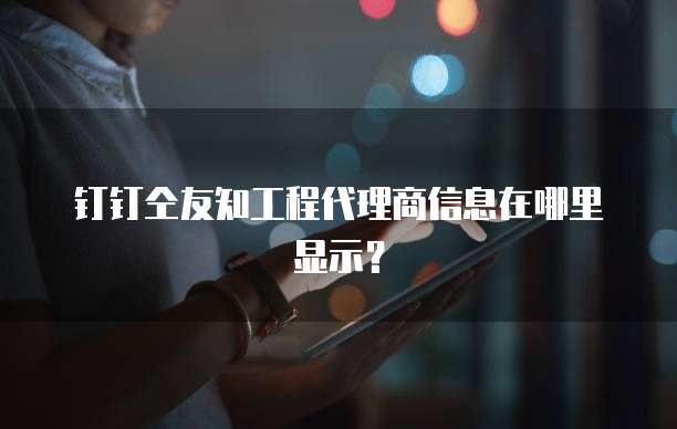 钉钉仝友知工程代理商信息在哪里显示？