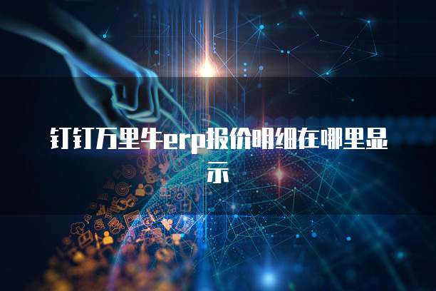 钉钉万里牛erp报价明细在哪里显示