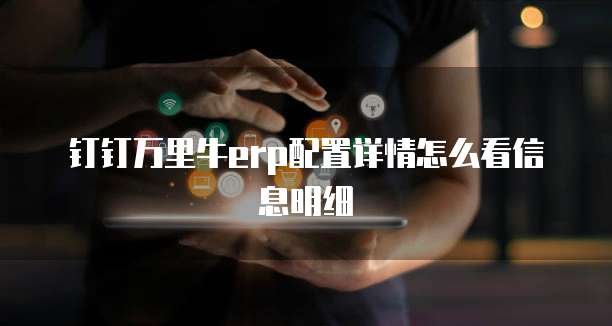 钉钉万里牛erp配置详情怎么看信息明细